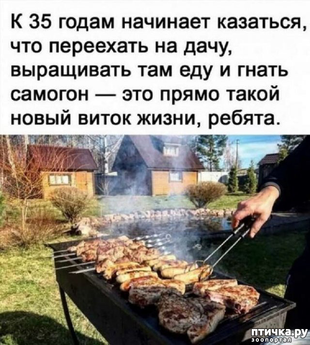 фото 24: МАЙ, МИР, ТРУД и ДАЧА...!!!