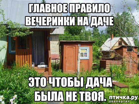 фото 25: МАЙ, МИР, ТРУД и ДАЧА...!!!