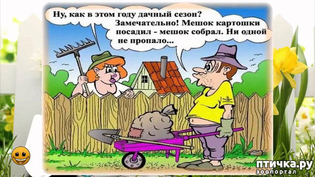 фото 27: МАЙ, МИР, ТРУД и ДАЧА...!!!