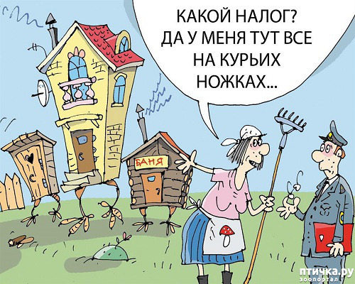 фото 30: МАЙ, МИР, ТРУД и ДАЧА...!!!