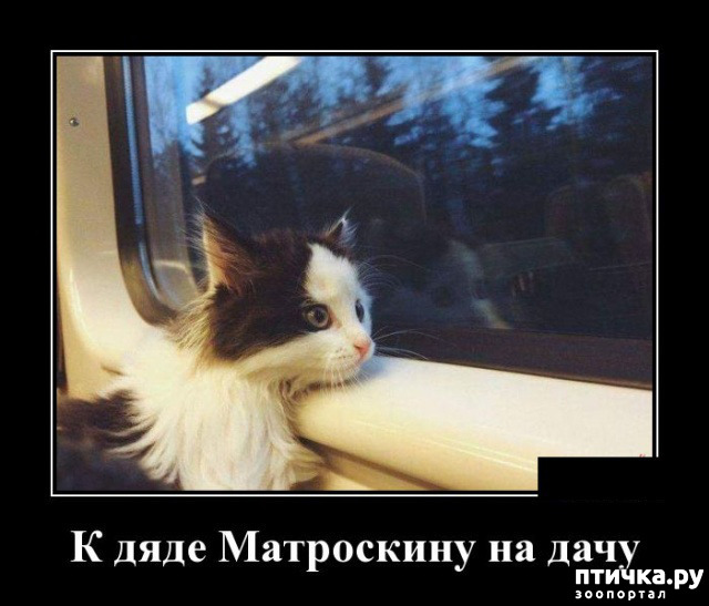 фото 33: МАЙ, МИР, ТРУД и ДАЧА...!!!