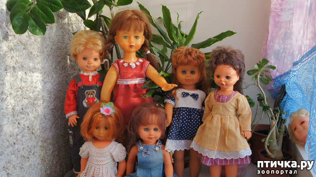 фото 12: Кукла Маша, кукла Даша, Кася, Фаня и Рысяша..