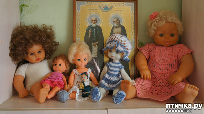 фото 14: Кукла Маша, кукла Даша, Кася, Фаня и Рысяша..