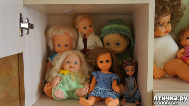 фото 15: Кукла Маша, кукла Даша, Кася, Фаня и Рысяша..