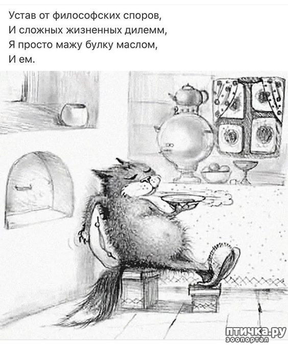 фото 6: Удивительное рядом...