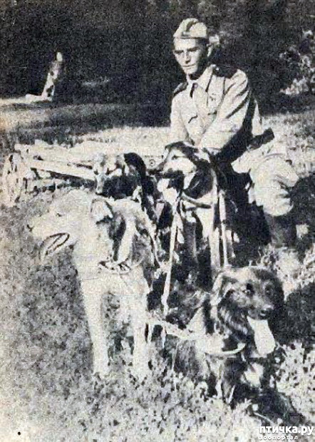  3: ,  