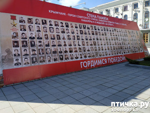 фото: Весь в памятниках Крым и обелисках