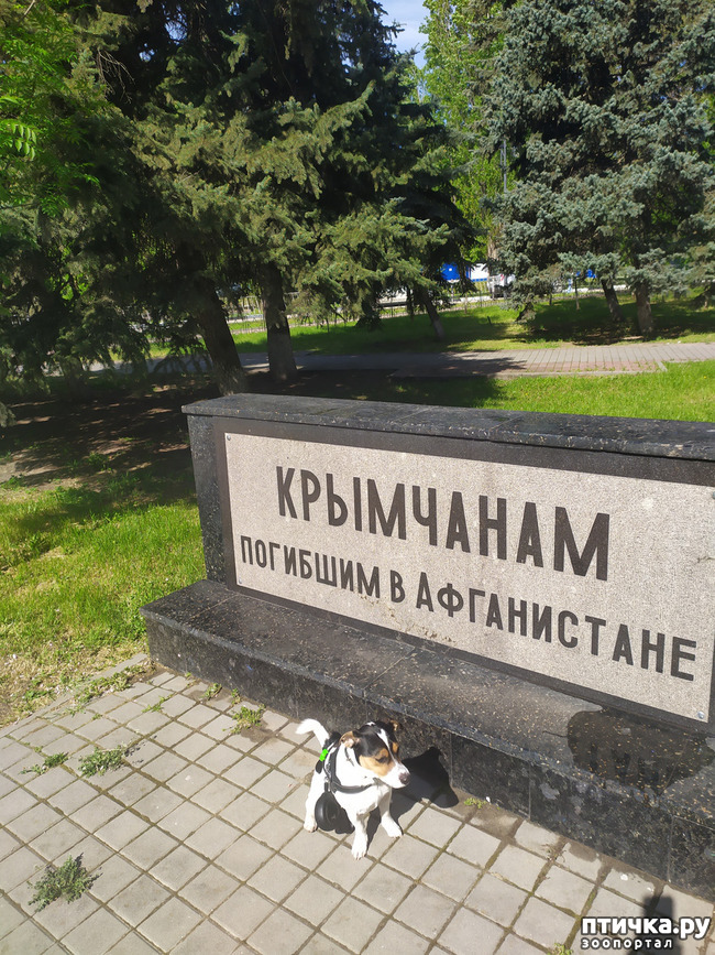 фото 6: Весь в памятниках Крым и обелисках