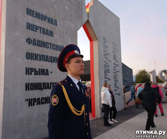 фото 9: Весь в памятниках Крым и обелисках