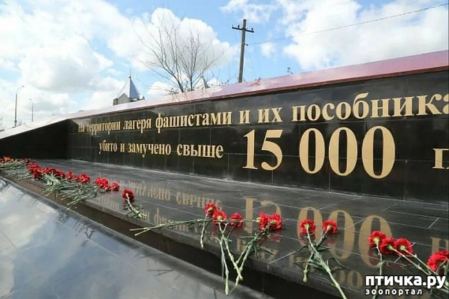 фото 13: Весь в памятниках Крым и обелисках