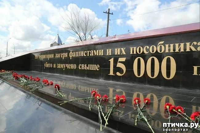  13:      