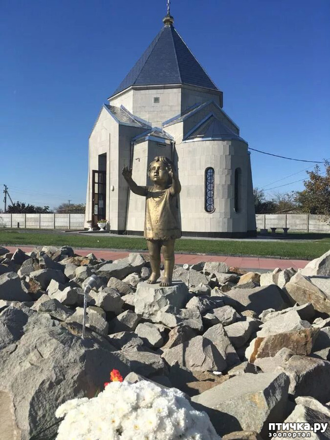 фото 15: Весь в памятниках Крым и обелисках