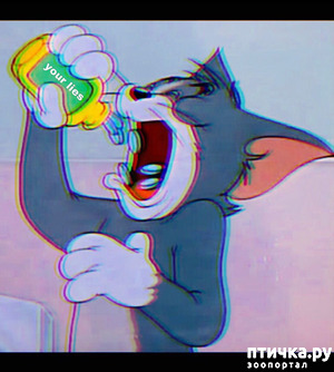 :        , ...