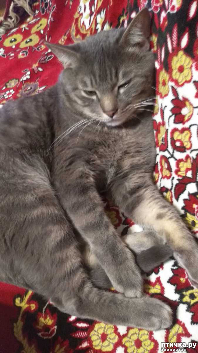  1:     