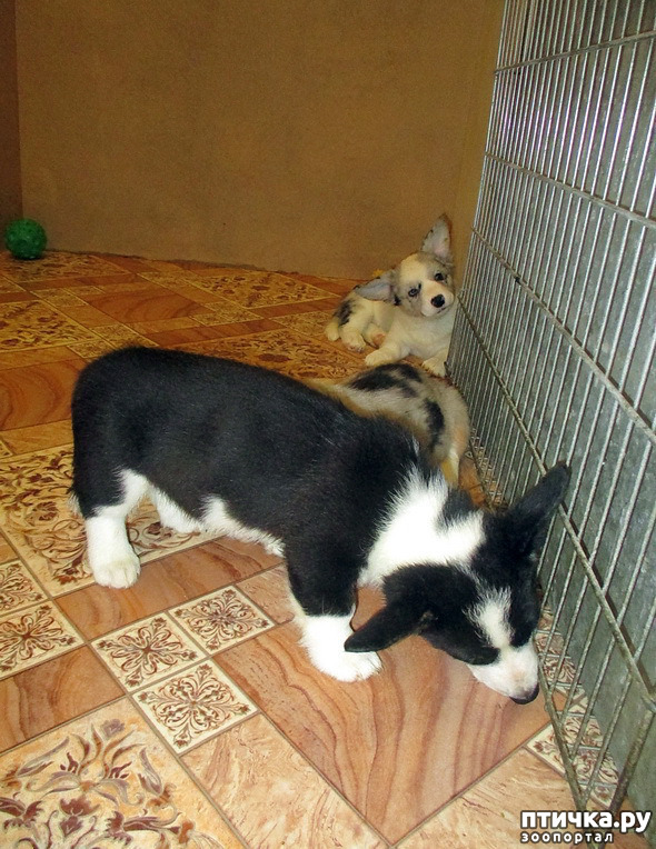  12:  