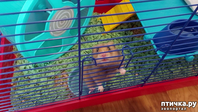  1:     