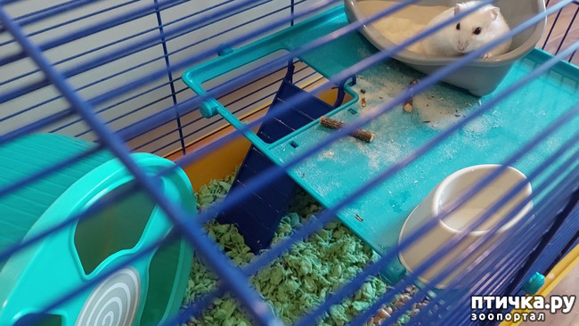  5:     