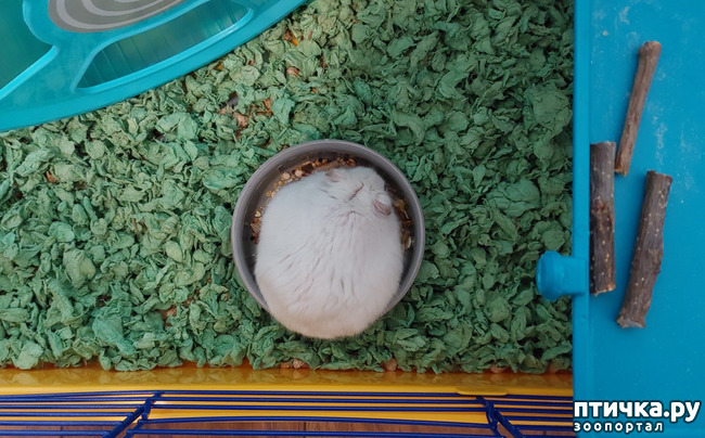  4:     