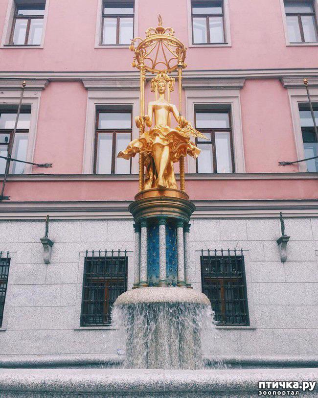  3: 