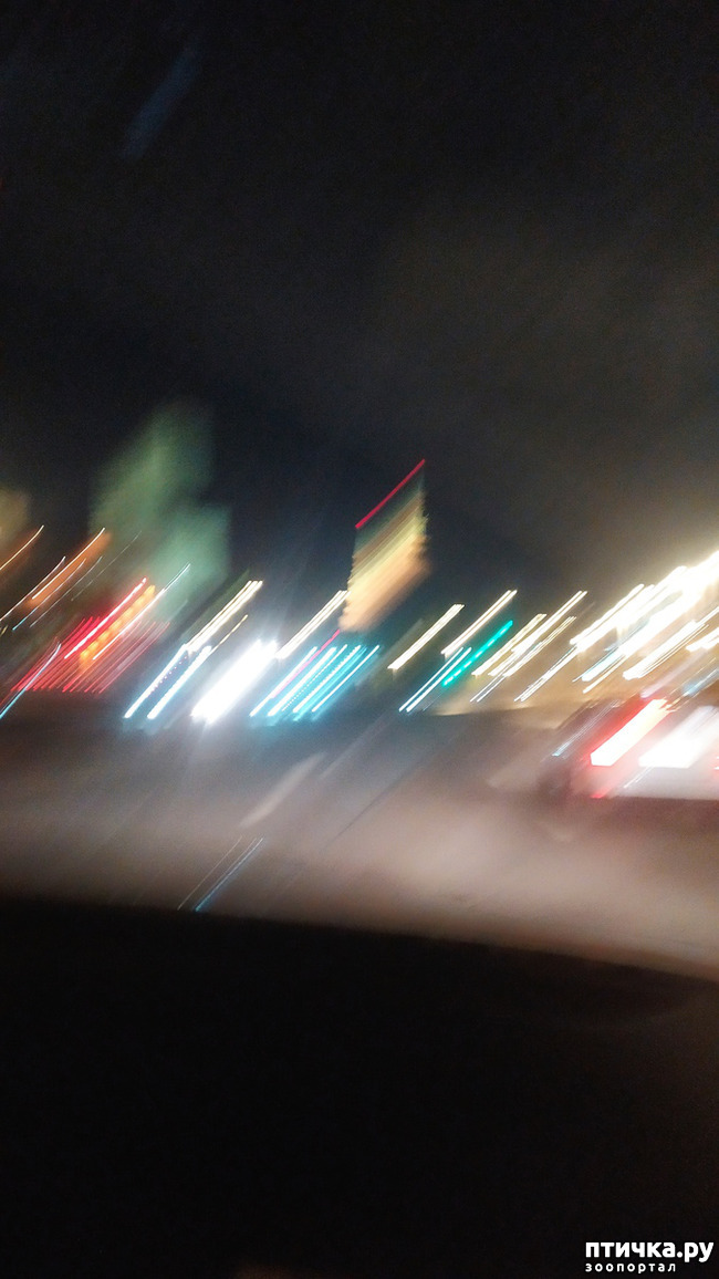  12: 