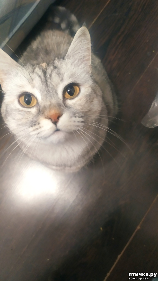 3:  )))