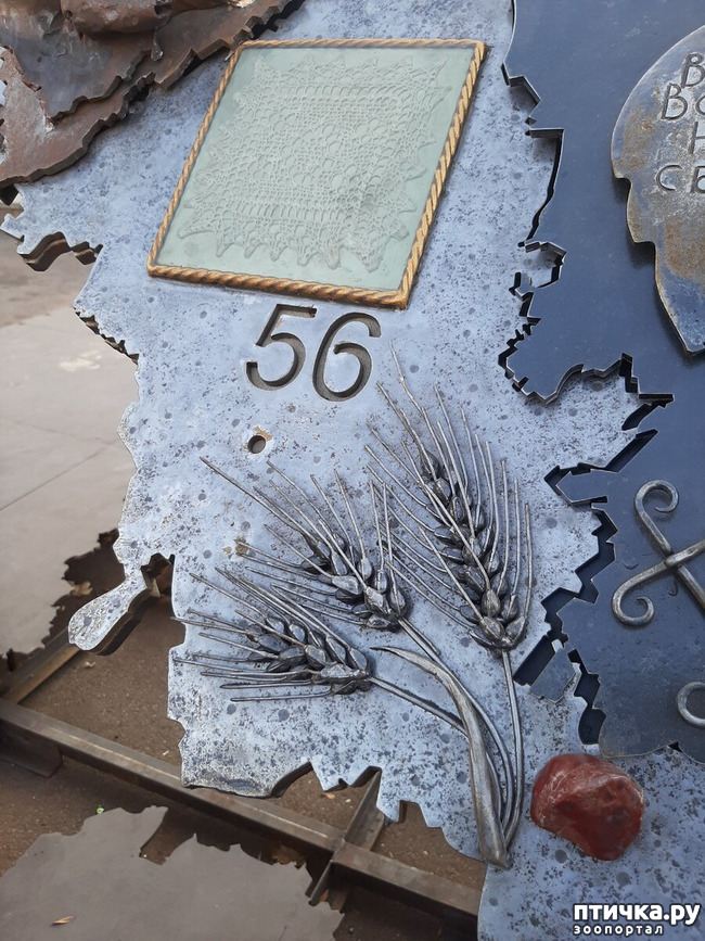  13:  -.  .