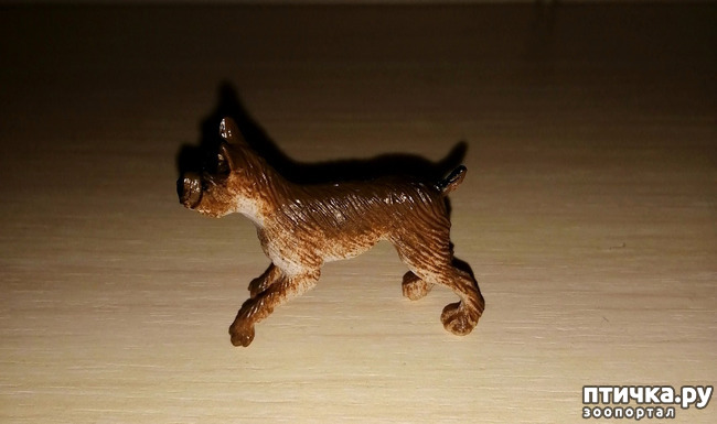 1: -