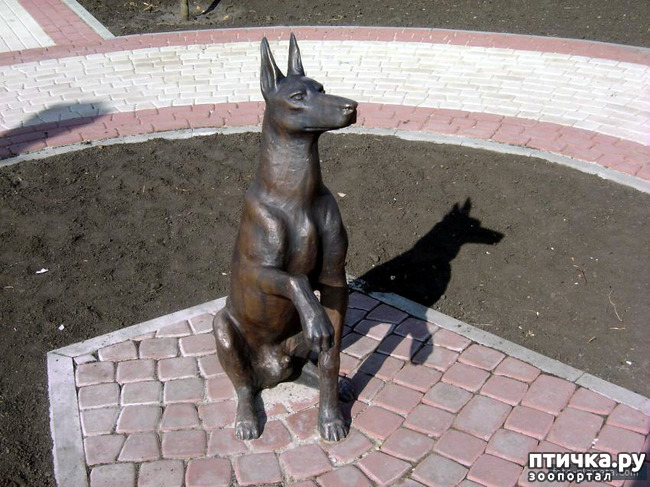  16: -
