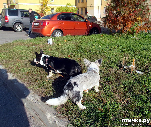  12:  