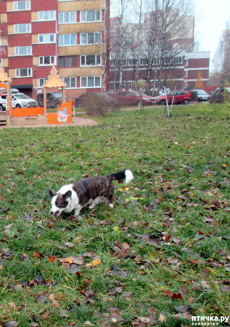  2:   