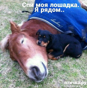 :  !!!