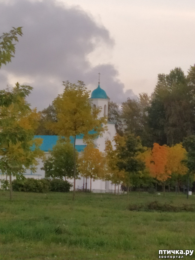  5:   