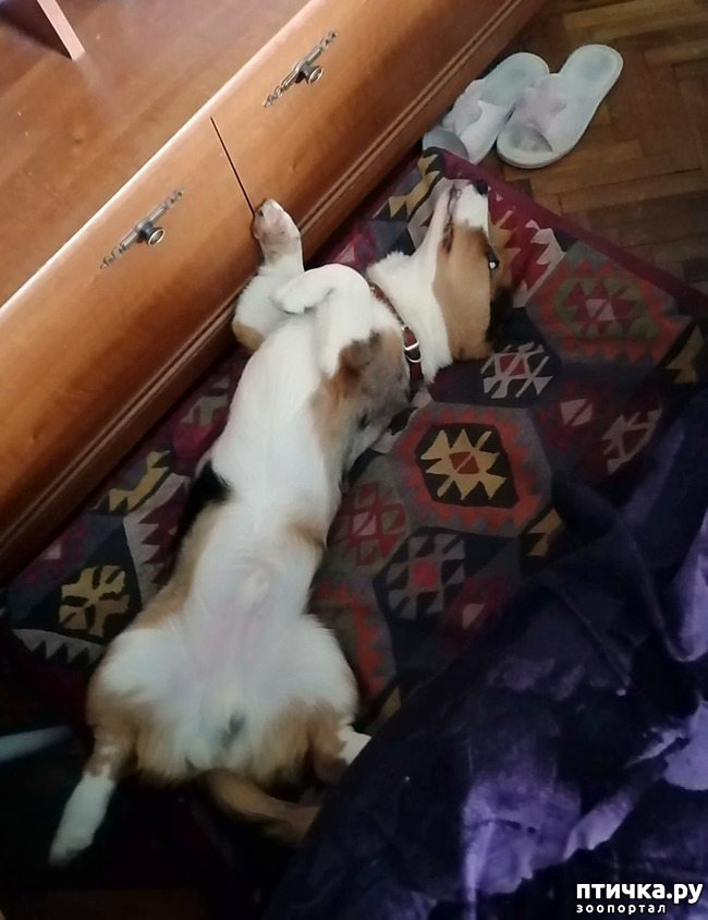  13:    