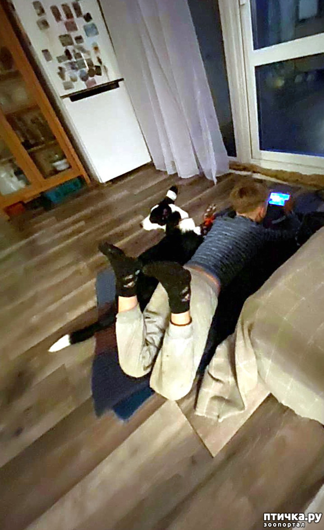  23:    