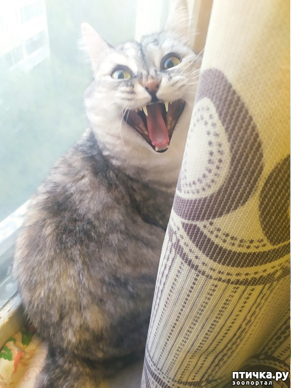  2:  .