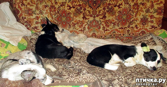  3:  