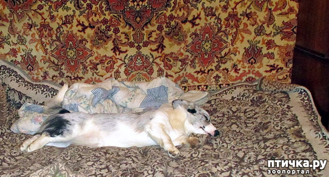  20:  