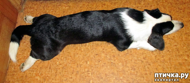  16:  