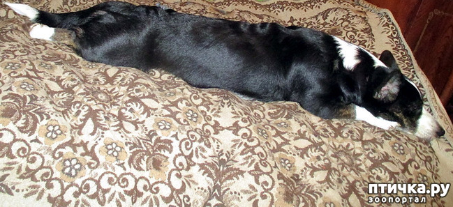 9:  
