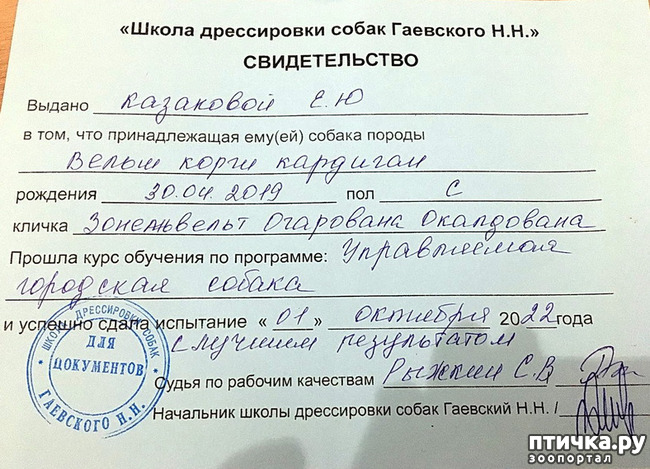  1: .  :)