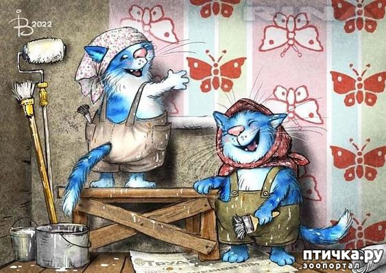 фото 9: С пятницей!