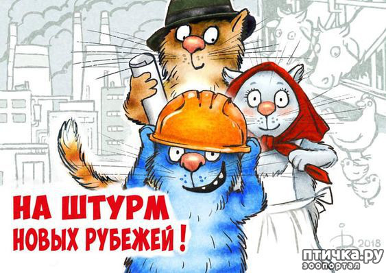 фото 10: С пятницей!