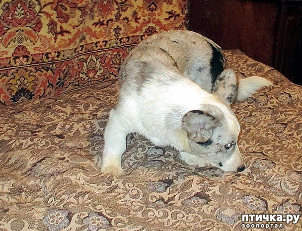  13:  