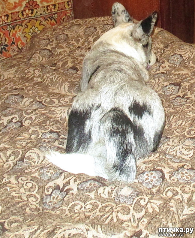  14:  