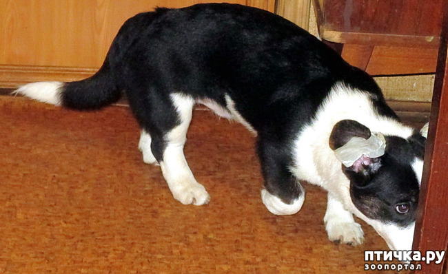  16:  