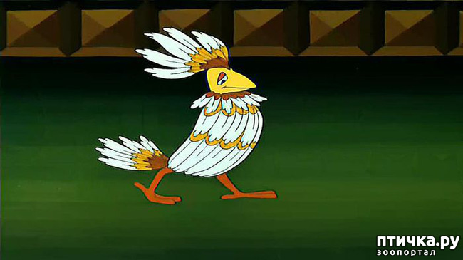  3:   