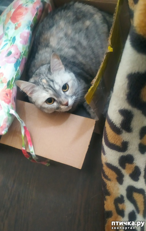  9:  ))