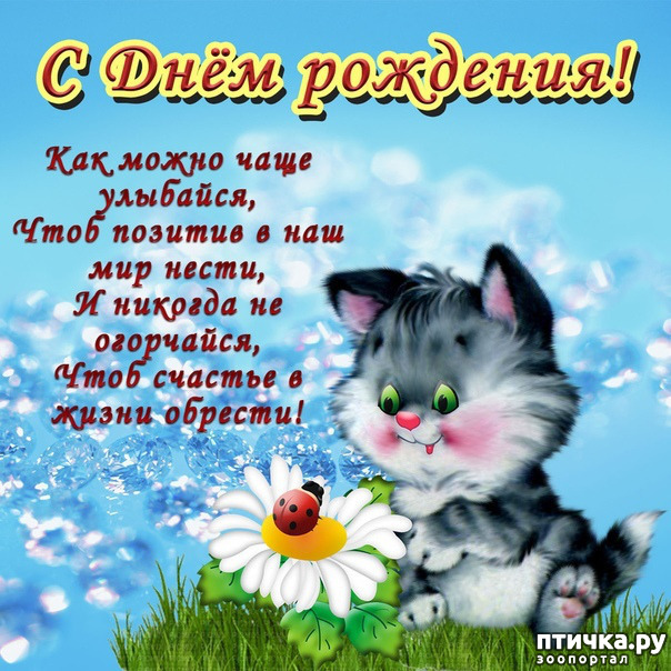  1:   ,  !