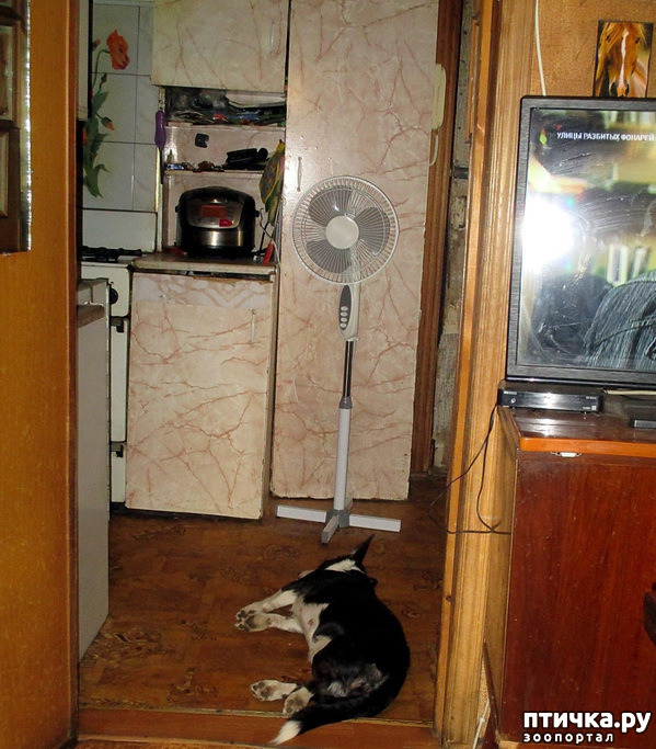  2:   