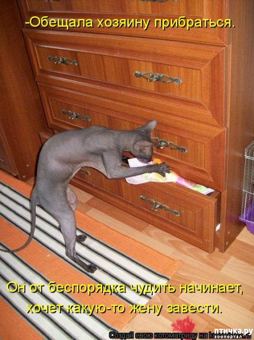  26: 